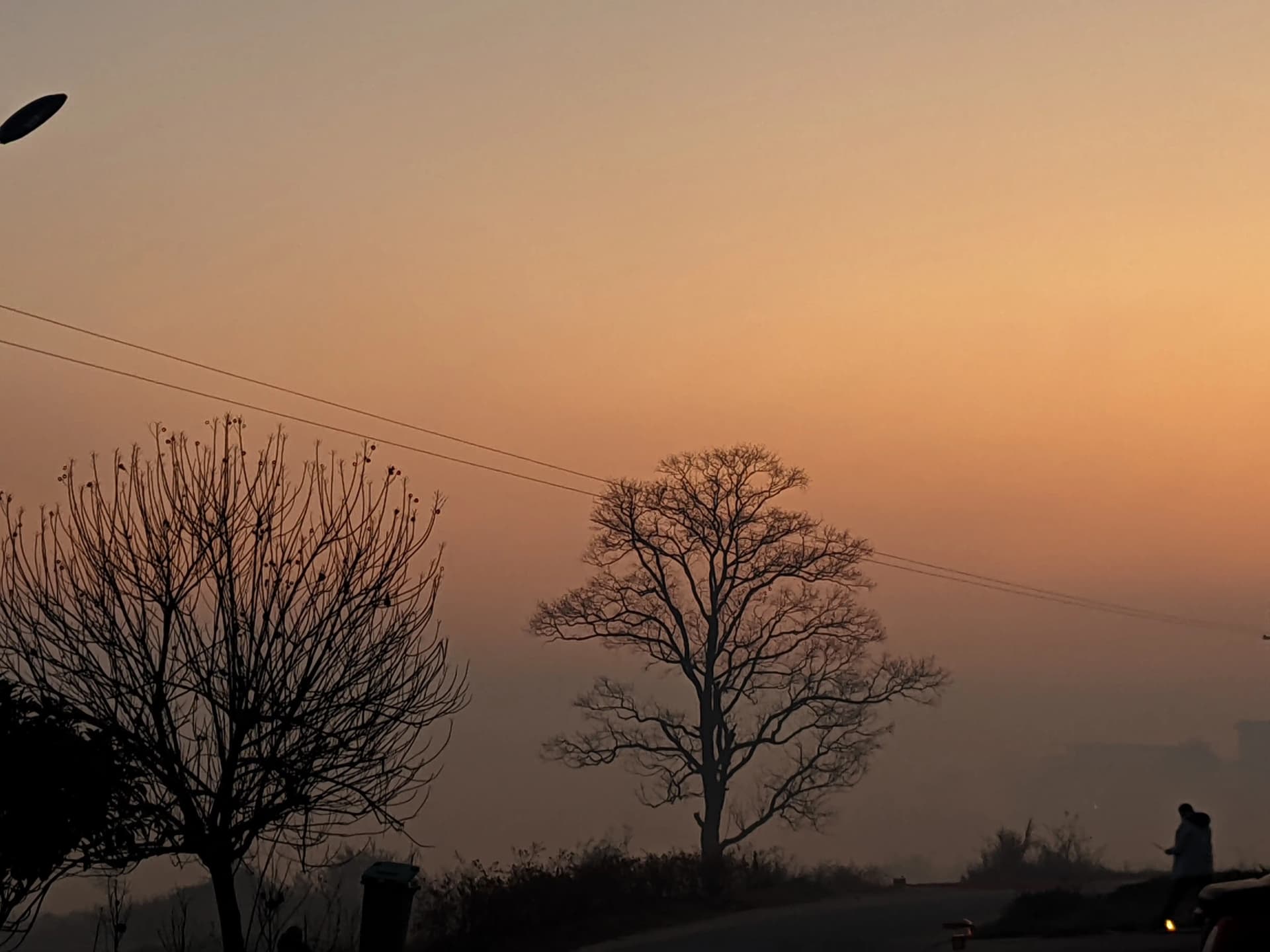 CRnall_20250129_065431335.jpg