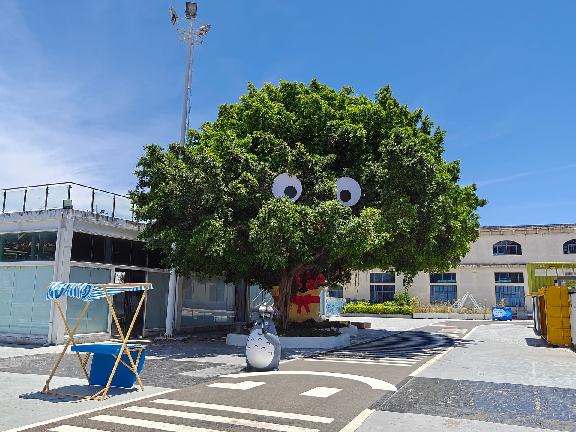 IMG20240720113156.jpg