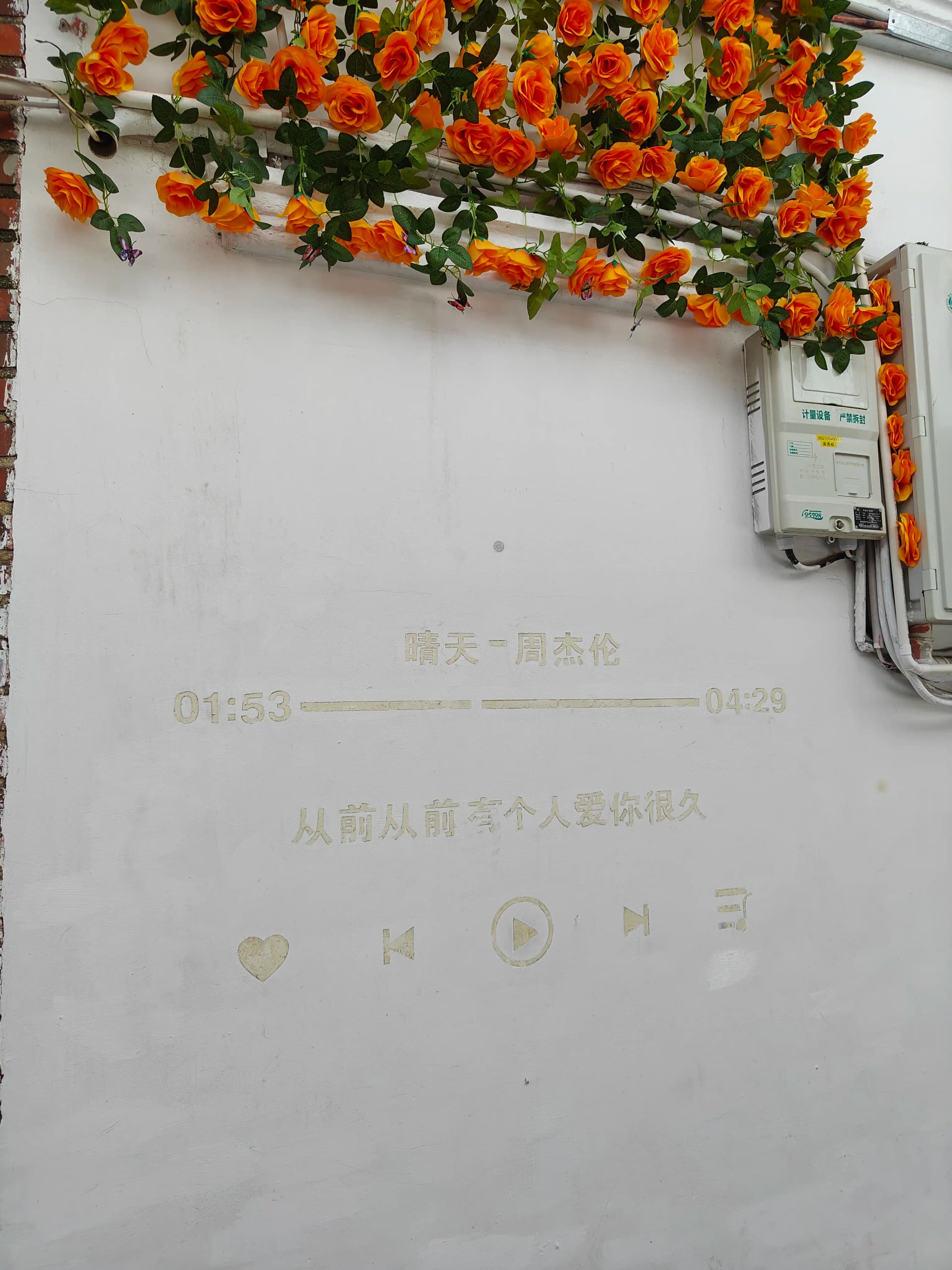 IMG20240718142448_01.jpg